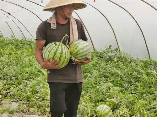 吃瓜群众与企业,吃瓜群众视角下的企业风云录