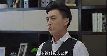 职场吃瓜电视剧,揭秘那些隐藏在吃瓜背后的职场真相