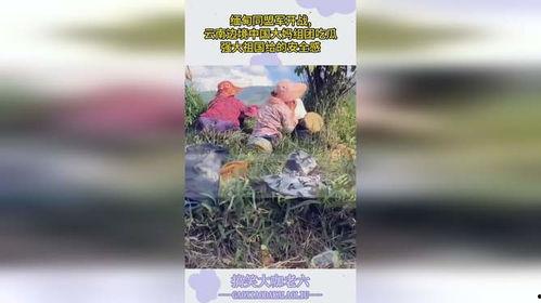 缅甸果敢云南大妈吃瓜,缅甸瓜香四溢,大妈们吃瓜乐趣多