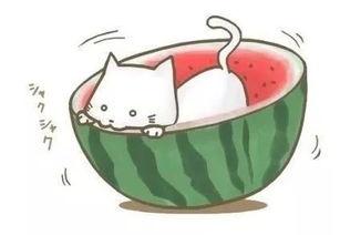 上班遇到吃瓜,偶遇职场“吃瓜”现场，揭秘办公室八卦风云