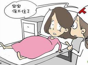 孕妇梦见妈妈吃瓜,妈妈吃瓜背后的温馨寓意