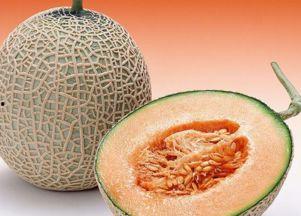 早上可以空腹吃哈密瓜嘛