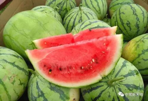 甜圈吃瓜,揭秘娱乐圈甜蜜背后的秘密