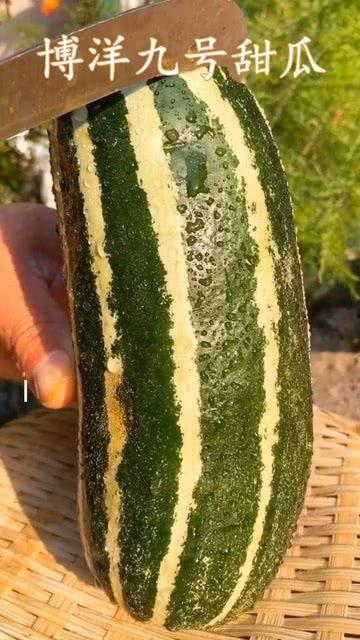 我在吃瓜 吃的什么瓜,那些被吃瓜群众津津乐道的幕后故事