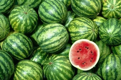 西瓜视频吃雪瓜