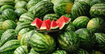 秋日吃大瓜2,大瓜美食盛宴