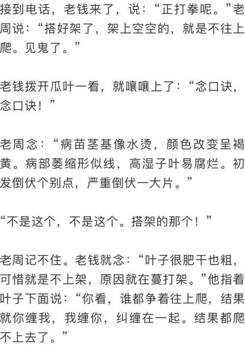 笛笛吃瓜全文