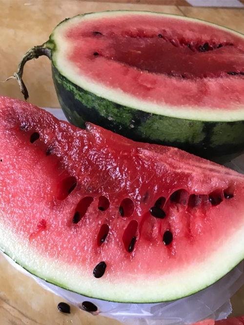 吃瓜爆料小不点