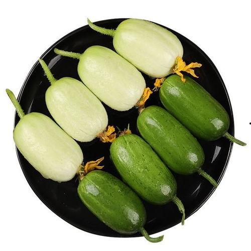 玉女瓜减肥可以吃么