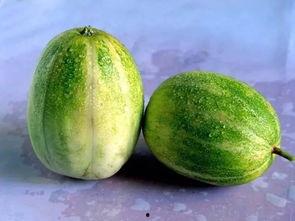 减肥吃天瓜,天然美味，健康瘦身新选择